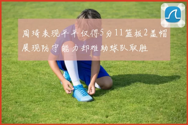 周琦表现平平仅得5分11篮板2盖帽展现防守能力却难助球队取胜