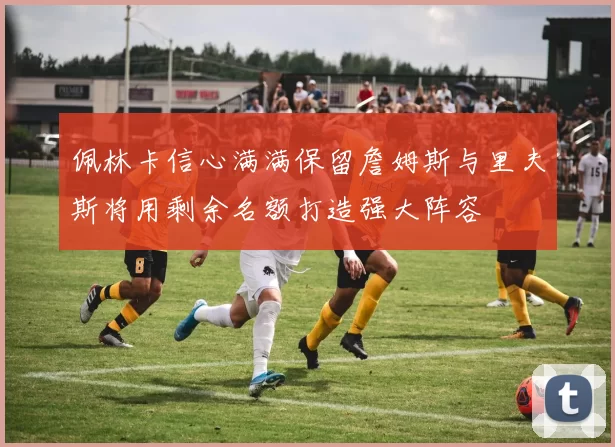 佩林卡信心满满保留詹姆斯与里夫斯将用剩余名额打造强大阵容